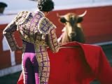 Bullfighter Holds his Red Cape Before a Bull Photographic Poster Print by Pablo Corral Vega, 24x32