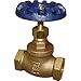 Fnw Valve 1 Bronze 125# Ips Globe Valve