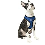Gooby Soft Mesh Harness for Small Dogs, Large, Blue