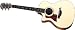 Taylor Guitars 414ce-L Grand Auditorium Acoustic Electric Guitar, Left Handed