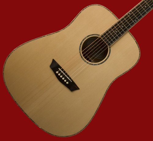 NEW PRO SOLID TOP WD55S WD