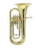 Roy Benson RBEP-302 Bb Advanced Euphonium