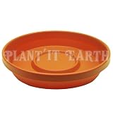 Terra Tray - T.C. 4