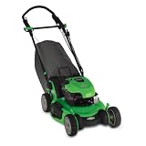 Lawn-Boy Insight Series 21-Inch Briggs and Statton Gas Powered Engine Self-Propelled Lawn... by Lawn Boy