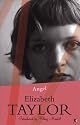Angel (Virago Modern Classics)