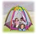 Fun Zone Tent
