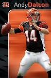 Cincinnati Bengals Andy Dalton Poster Poster Print, 22x34