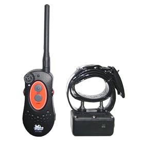 DT Systems� H2O 1812 Dog Training Collar (2 Dogs)