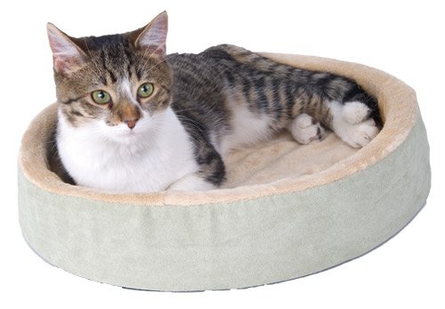 Childrens Toyshop  Pet Supplies : K&H Thermo-Kitty Cuddle Up, Mocha