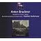 Bruckner alternatif