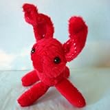 Knowing God: Walking through the Book of Books