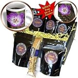 VWPics Flowers - Blue Bunch-Grass.(Festuca idahoensis).Siskiyou County, California - Coffee Gift Baskets - Coffee Gift Basket