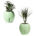 Grobal Self-Watering Pots - Mint