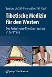 Tibetische Medizin Fa1/4r Den Westen: Das Archetypen-Meridian-System in Der Arztlichen Praxis: Das Archetypen-Meridian-System in der Praxis