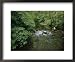 A Man is Fly-Fishing on Tennessees Bald River National Geographic Collection Framed Art Poster Print by Stephen Alvarez, 22x18