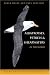 Albatrosses, Petrels and Shearwaters of the World (Princeton Field Guides)