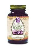 Genesis Today-Caralluma Fimbriata, 800mg, 60 Vegetarian Capsules, (As Seen On The View and Recommended Dr. Lindsey Duncan)