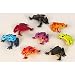 Assorted Plastic Frogs (8) Party Supplies Assorted Plastic Frogs (8) Party Supplies