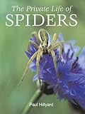 The private life of spiders