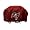 Tampa Bay Buccaneers