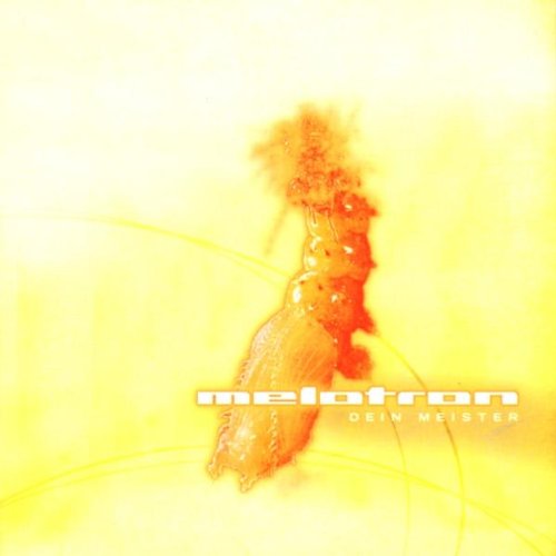 Melotron - Dein Meister (Funker Vogt Remix) Lyrics - Zortam Music