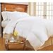 41QxLyRkMAL. SL75  Calvin Klein Khaki Collection Almost Down Comforter, Full/Queen