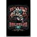Miami Dolphins NFL Team Cartoon Mascot Poster 22x34