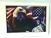 American Eagle and the statue of liberty in front of the american flag Sticke...