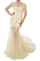 Sexy Natural   Waistline Sheath Tulle Backless Lace Illusion Evening Dress/Prom Dress 