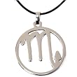 Zodiac Sign Necklace Scorpio Pendant Stainless Steel on Rubber Cord By Bucasi