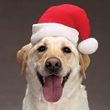 Santa Claus Dog Hat Cap Size Large