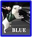 BLUE - Outward Hound Up and Out Lift Harness