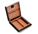 Habana Humidor - Philippi Design