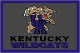 University of Kentucky Wildcats Area Rug