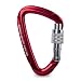Salewa Karabiner HOT G2 SCREW, rot (999)