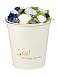 The Baby Bunch Medium Bucket Blue 0 to 6 Months