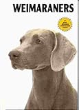 Weimaraners