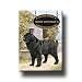 Newfoundland A House Is Not A Home Fridge Magnet No 2 (Black)