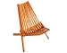 Beach, Camp & Boat Chair