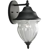Progress Lighting P5613-31 One-Light Wall Lantern with Clear Seeded Handblown Glass Urn, Black