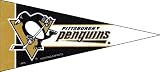 NHL Mini Pittsburgh Penguins Pennant, (2-Pack)