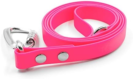 Petoji premium, durable, waterproof, dirt proof, lightweight 4ft dog leash with auto-lock carabiner &amp; anti-fade webbing (Neon Pink)