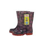 Thomas the Tank Engine wellies