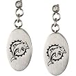 Stainless Steel Miami Dolphins Logo Dangle Earrings