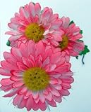 Amazing Solar Fibre Optic Flower Light - 3 DAISY'S