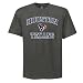 NFL Houston Texans Heart And Soul II Adult Short-Sleeved Basic Tee