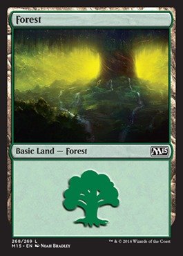 Magic: the Gathering - Forest (268/269) - Magic 2015 - Foil