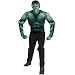 Search : The Incredible Hulk 2008 Movie Muscle Chest Hulk Adult Halloween Costume (42-46)