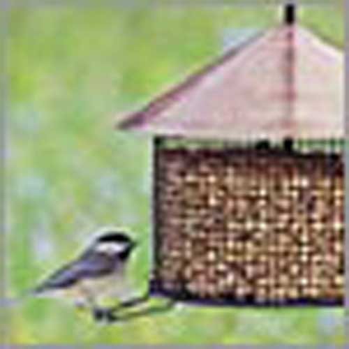 Large Deluxe Wire Mesh (Bird Feeders)
