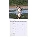 Basset Hound 18 Month 2016 Traditional Wall Calendar